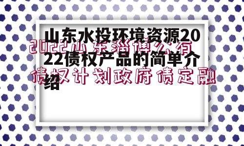 山东水投环境资源2022债权产品的简单介绍