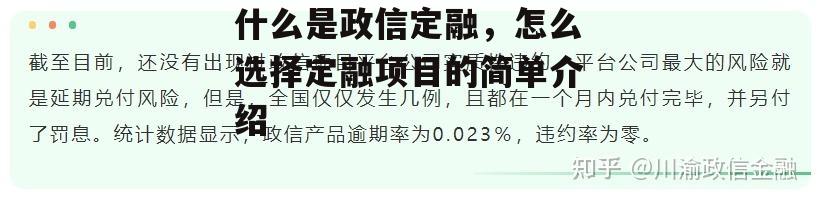 什么是政信定融，怎么选择定融项目的简单介绍