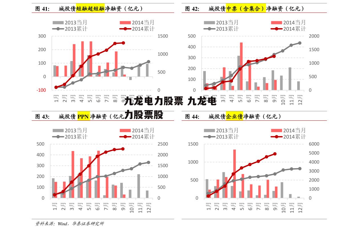 九龙电力股票 九龙电力股票股