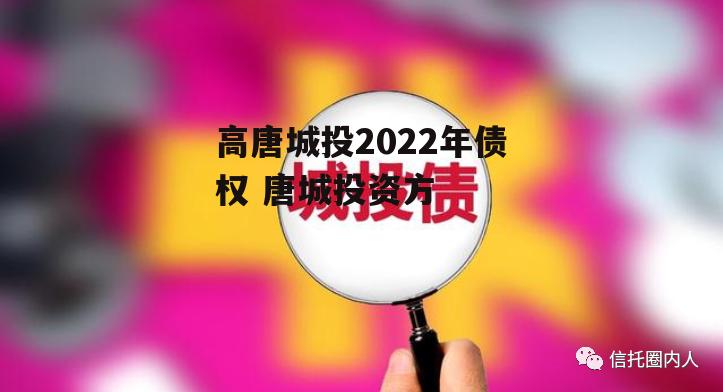 高唐城投2022年债权 唐城投资方