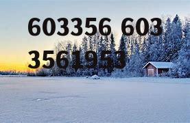 603356 6033561953