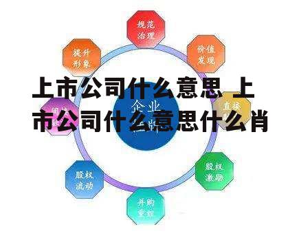 上市公司什么意思 上市公司什么意思什么肖