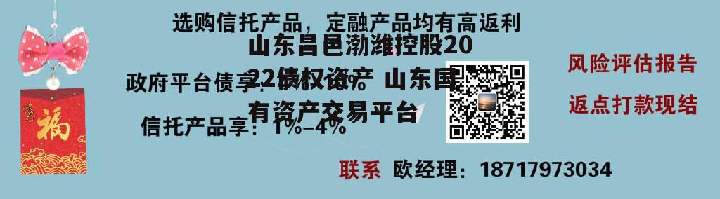 山东昌邑渤潍控股2022债权资产 山东国有资产交易平台