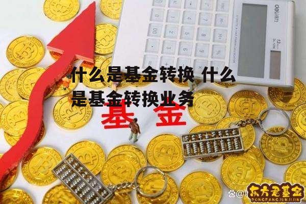 什么是基金转换 什么是基金转换业务