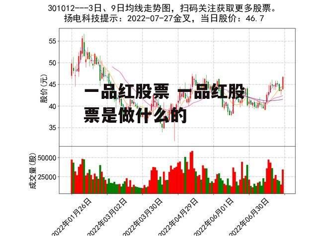 一品红股票 一品红股票是做什么的