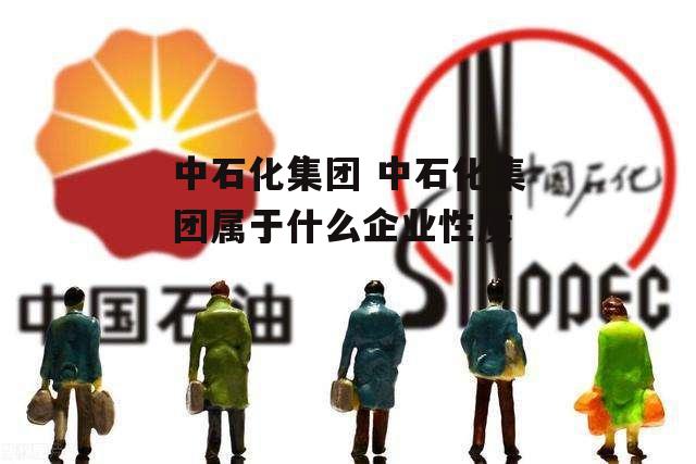 中石化集团 中石化集团属于什么企业性质