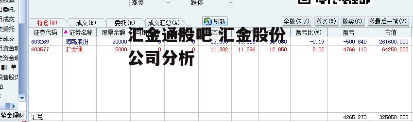 汇金通股吧 汇金股份公司分析