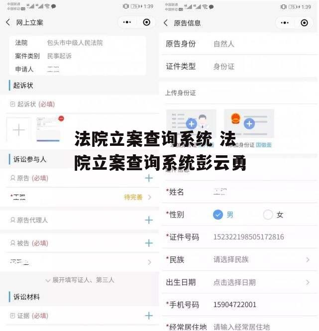 法院立案查询系统 法院立案查询系统彭云勇