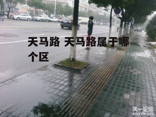 天马路 天马路属于哪个区