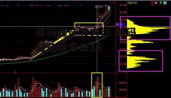 筹码峰选股方法 筹码峰选股方法12