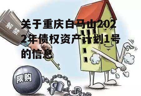 关于重庆白马山2022年债权资产计划1号的信息