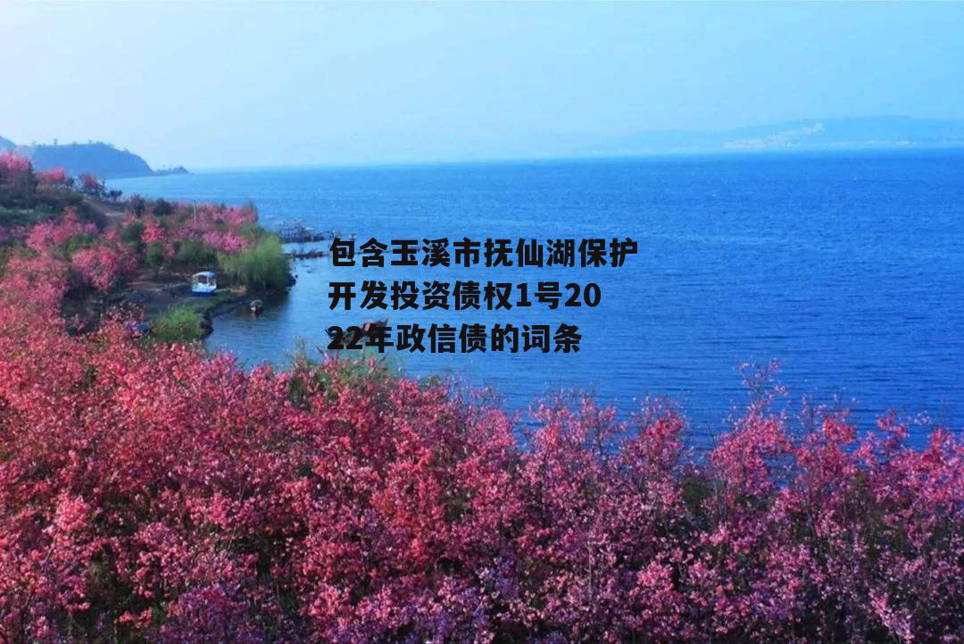 包含玉溪市抚仙湖保护开发投资债权1号2022年政信债的词条