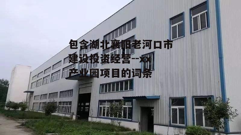 包含湖北襄阳老河口市建设投资经营--xx产业园项目的词条