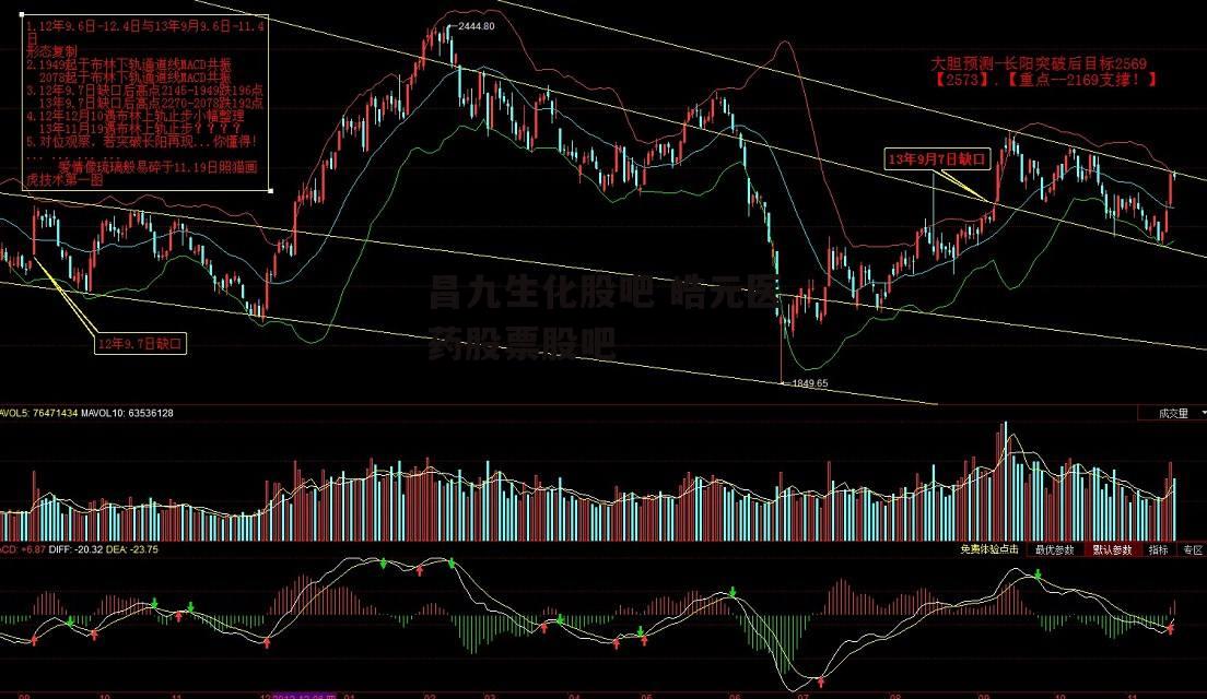 昌九生化股吧 皓元医药股票股吧