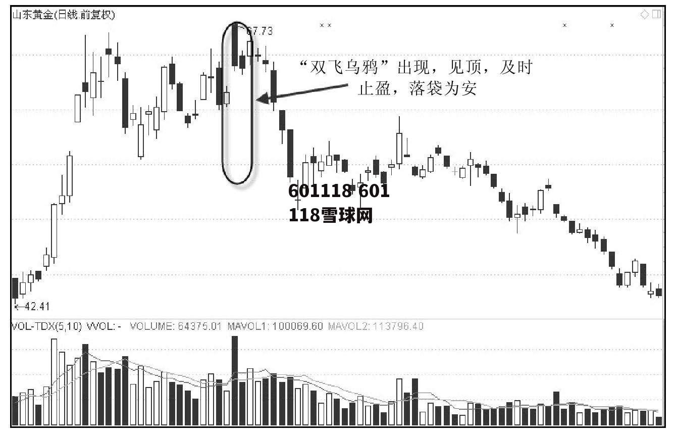 601118 601118雪球网