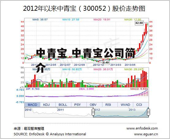 中青宝 中青宝公司简介