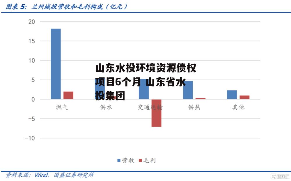 山东水投环境资源债权项目6个月 山东省水投集团