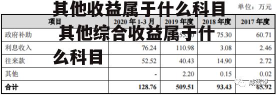 其他收益属于什么科目 其他综合收益属于什么科目