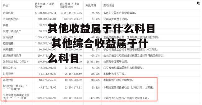 其他收益属于什么科目 其他综合收益属于什么科目