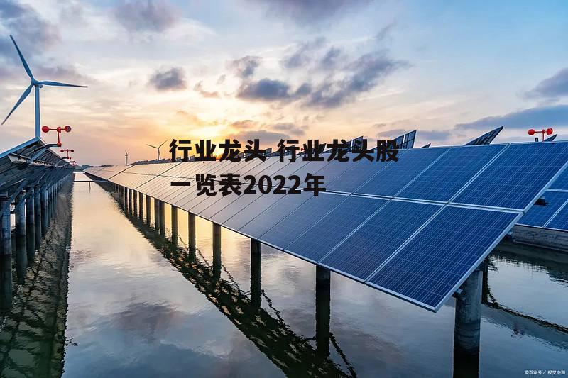 行业龙头 行业龙头股一览表2022年