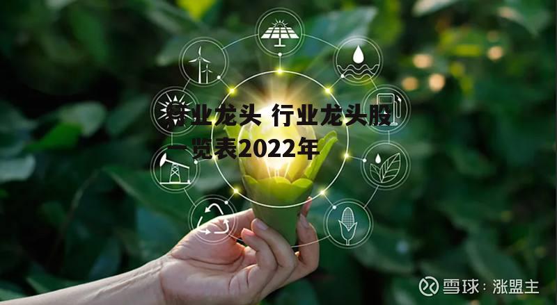 行业龙头 行业龙头股一览表2022年