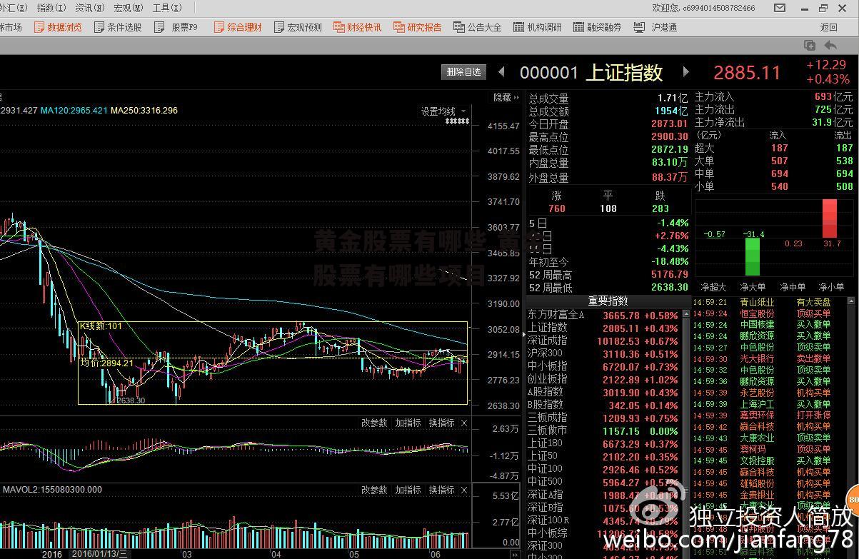 黄金股票有哪些 黄金股票有哪些项目