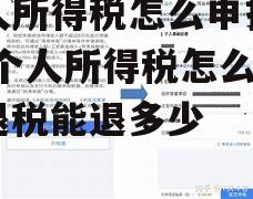 个人所得税怎么申报退税 个人所得税怎么申报退税能退多少