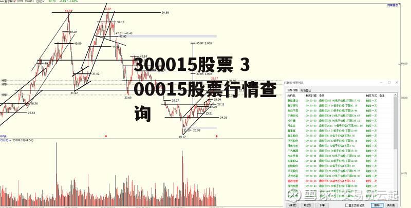 300015股票 300015股票行情查询