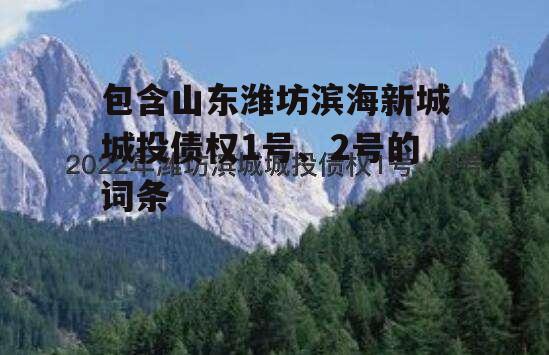 包含山东潍坊滨海新城城投债权1号、2号的词条