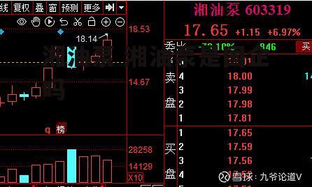 湘油泵 湘油泵是国企吗