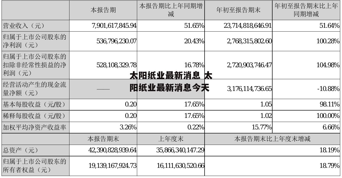 太阳纸业最新消息 太阳纸业最新消息今天