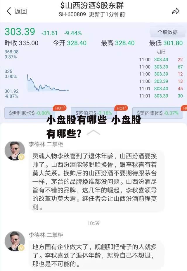 小盘股有哪些 小盘股有哪些?