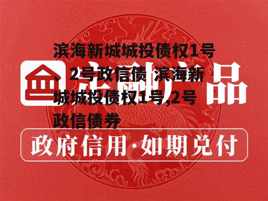 滨海新城城投债权1号、2号政信债 滨海新城城投债权1号,2号政信债券