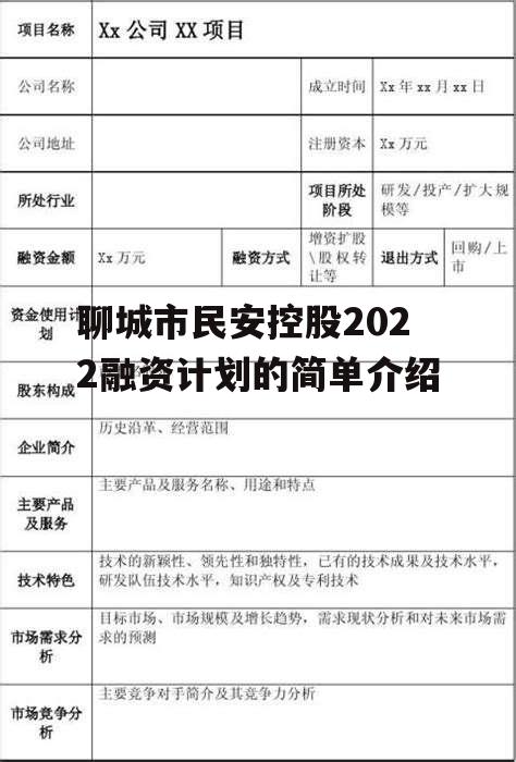 聊城市民安控股2022融资计划的简单介绍