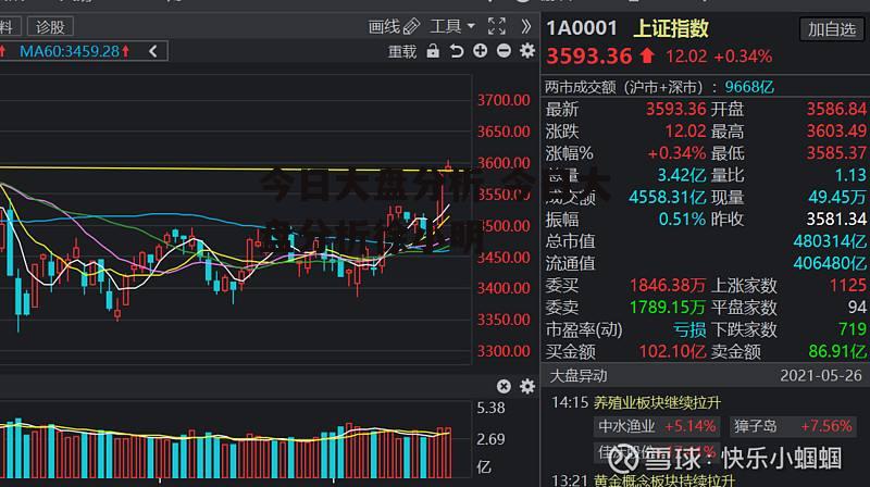 今日大盘分析 今日大盘分析徐小明