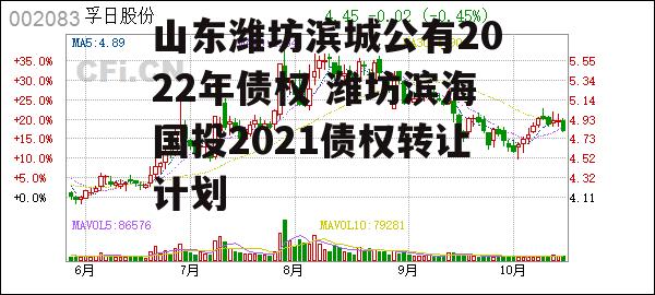 山东潍坊滨城公有2022年债权 潍坊滨海国投2021债权转让计划