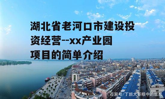 湖北省老河口市建设投资经营--xx产业园项目的简单介绍