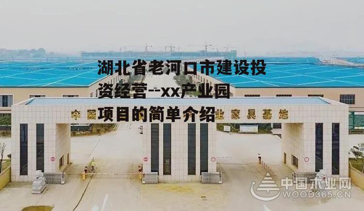 湖北省老河口市建设投资经营--xx产业园项目的简单介绍