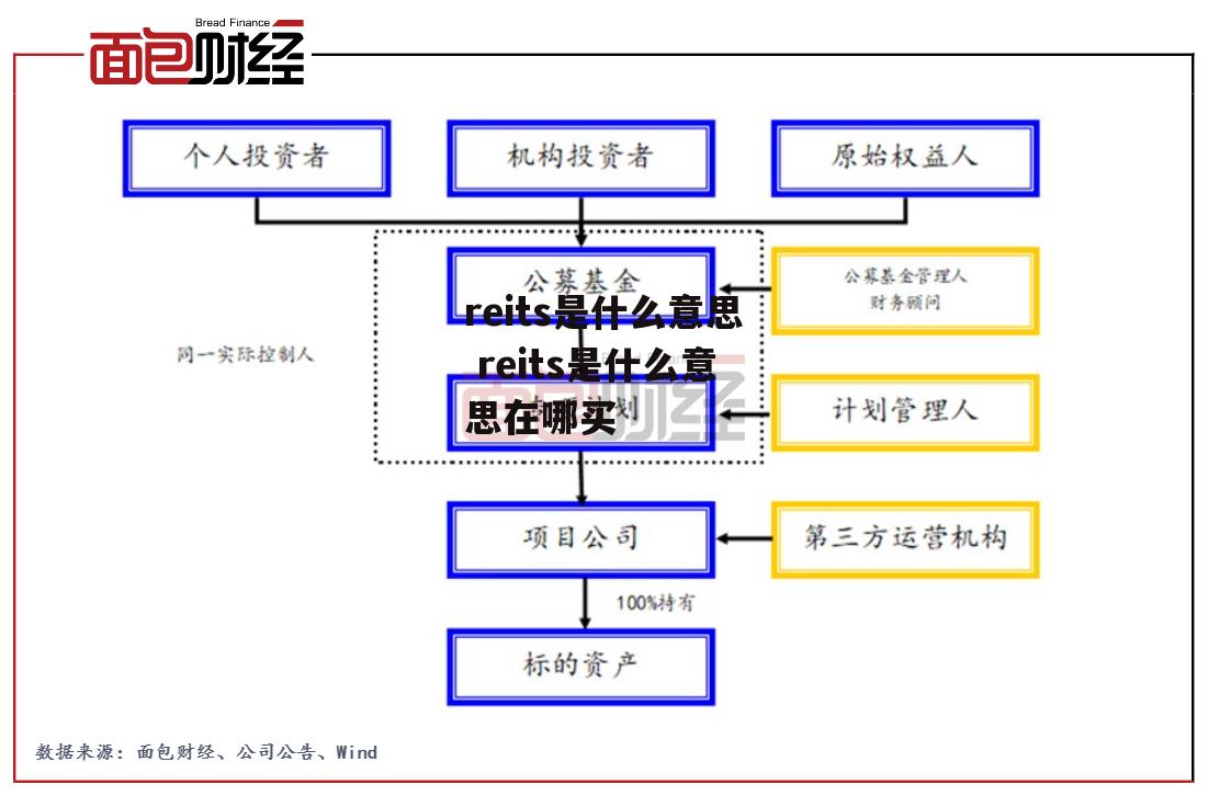 reits是什么意思 reits是什么意思在哪买