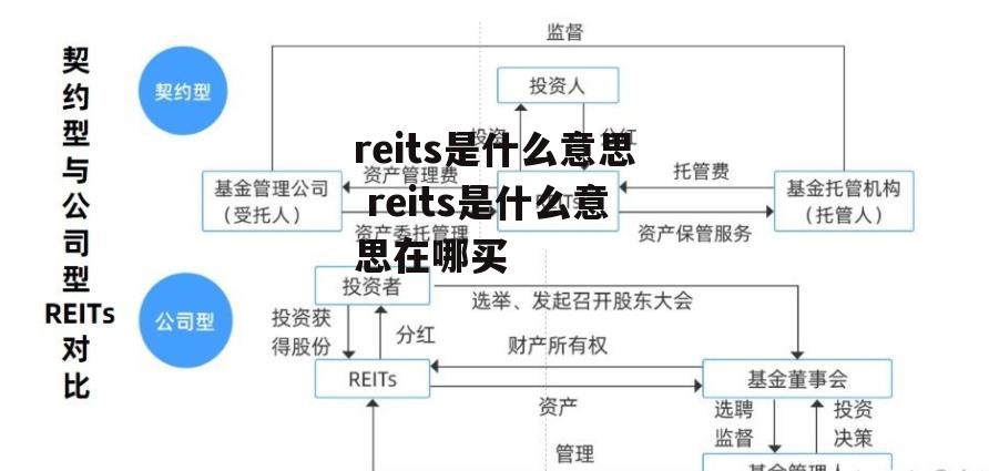 reits是什么意思 reits是什么意思在哪买