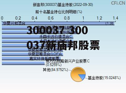 300037 300037新庙邦股票