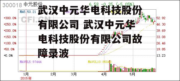 武汉中元华电科技股份有限公司 武汉中元华电科技股份有限公司故障录波