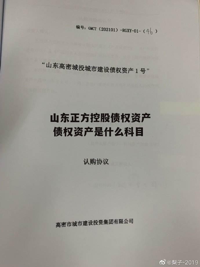 山东正方控股债权资产 债权资产是什么科目