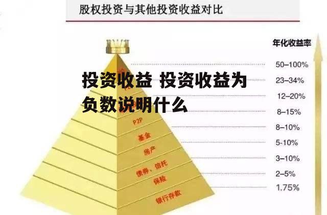 投资收益 投资收益为负数说明什么