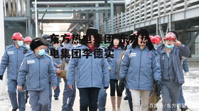 东方热电集团 东方热电集团李德实