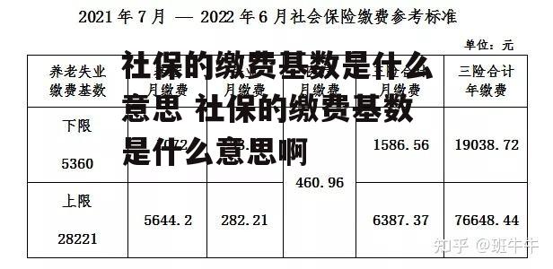 社保的缴费基数是什么意思 社保的缴费基数是什么意思啊