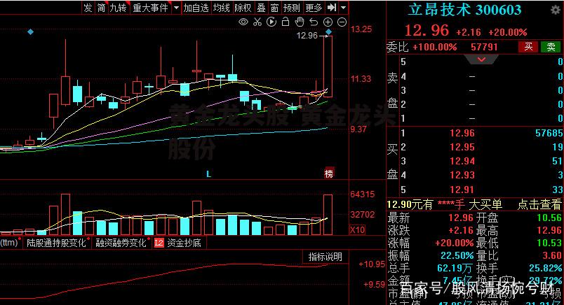 黄金龙头股 黄金龙头股份