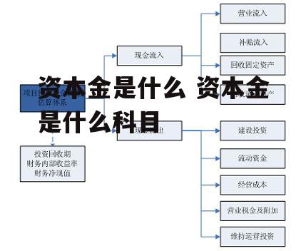 资本金是什么 资本金是什么科目