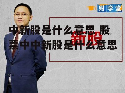 中新股是什么意思 股票中中新股是什么意思