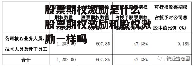 股票期权激励是什么 股票期权激励和股权激励一样吗